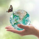 توانمند سازی محیط زیستی و تاثیر آن در تجربه مشتری