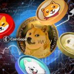 بهترین میم کوین های 2023