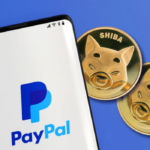 حضور شیبا در پی‌پال (PayPal)