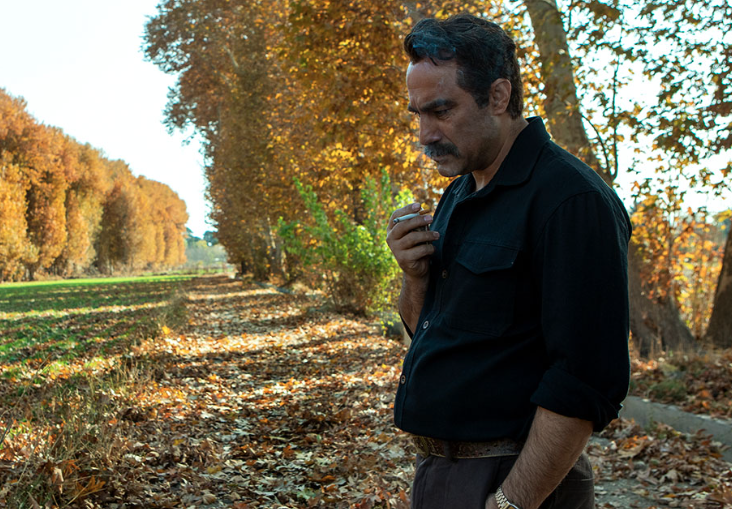 نقد و بررسی قسمت آخر سریال رهایم کن