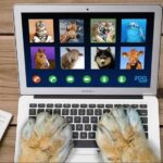 ابزار برای جلسات آنلاین