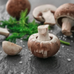 انواع قارچ خوراکی