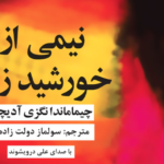 نقد و بررسی کتاب نیمی از خورشید زرد