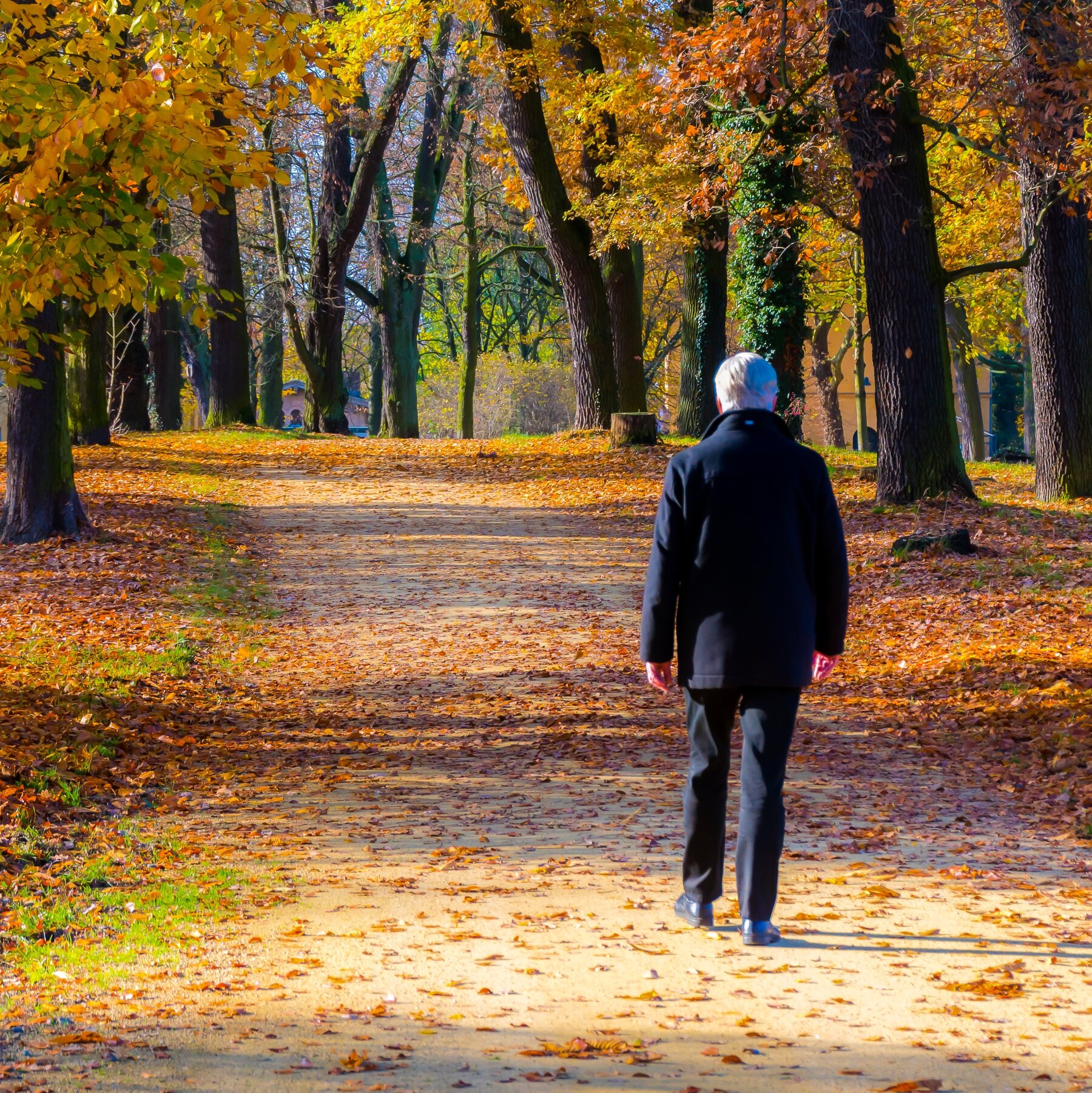مزایای پیاده روی