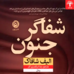 نقد و بررسی کتاب شفاگر جنون