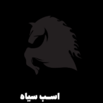 نقد و بررسی کتاب اسب سیاه
