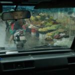 فیلم درون پوسته پیله زرد