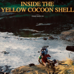 نقد و بررسی فیلم Inside the Yellow Cocoon Shell