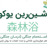 نقد و بررسی کتاب شین رین یوکو