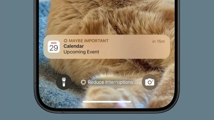 دومین بتای توسعهدهنده iOS 18.1