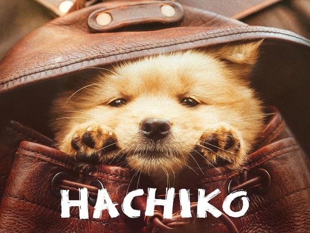 نقد و بررسی فیلم Hachiko