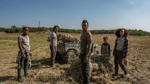 نقد و بررسی فیلم 40 Acres